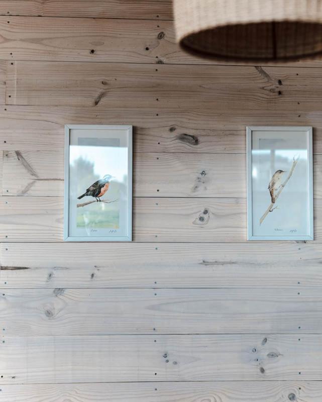 Cabanas Grulla Pichilemu Zewnętrze zdjęcie