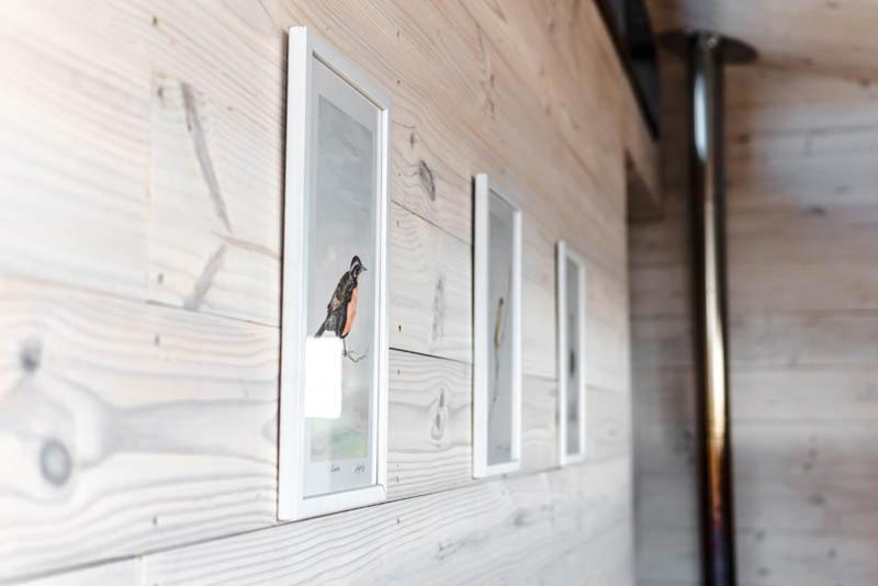 Cabanas Grulla Pichilemu Zewnętrze zdjęcie